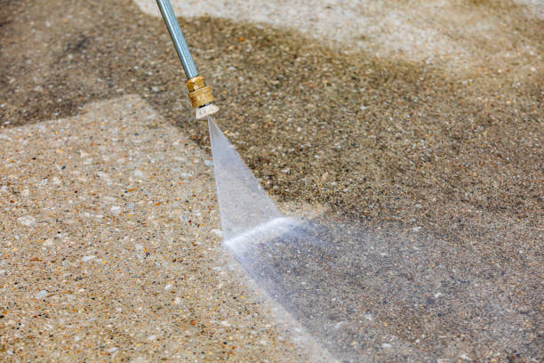 Best Patio and Deck Pressure Washing  in South Lyon, MI